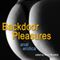 Backdoor Pleasures: Anal Erotica