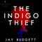 The Indigo Thief