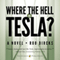 Where the Hell is Tesla?: A Novel