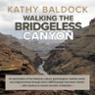 Walking the Bridgeless Canyon: Repairing the Breach Between the Church and the LGBT Community