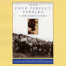 Four Perfect Pebbles: A Holocaust Story