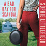 A Bad Day for Scandal: A Crime Novel