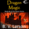 Dragon Magic: Haven Series, Book 4