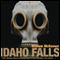 Idaho Falls: The Untold Story of America's First Nuclear Accident