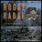 Rogue Rabbi: A Spiritual Quest - From Seminary to Ashram and Beyond