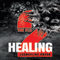 Healing: The Flu, Book 2