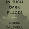 In Such Dark Places: A Novel