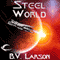 Steel World: Undying Mercenaries, Book 1
