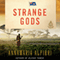 Strange Gods: A Mystery