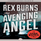 The Avenging Angel: Gabe Wagner, Book 5