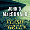 A Flash of Green: A Novel