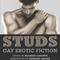 Studs: Gay Erotic Fiction