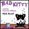 Bad Kitty