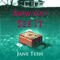 Now You See It: A Grace Street Mysteries, Book 3