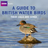 A Guide to British Water Birds: Their Calls and Songs