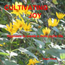 Cultivating Joy: Hypnosis to Create a More Joyful Life