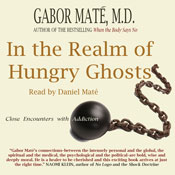 In the Realm of Hungry Ghosts: Close Encounters with Addiction