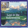 Lost in the Yellowstone