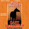 Blue Bullet: The Horsemen, Book 4