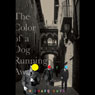 The Color of a Dog Running Away