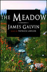 The Meadow