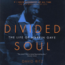 Divided Soul: The Life of Marvin Gaye