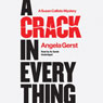 A Crack in Everything: The Susan Callisto Mysteries, Book 1