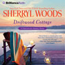 Driftwood Cottage: A Chesapeake Shores Novel, Book 5