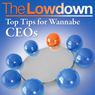 The Lowdown: Top Tips for Wannabe CEOs