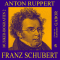 Franz Schubert (Musiker-Biografien 2)