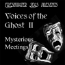 Voices of the Ghost II: Mysterious Meetings - Ghost stories by Mary E. Wilkins Freeman, Richard Middleton, and Amelia B. Edwards