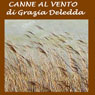 Canne al vento [Reeds in the Wind]