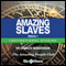 Amazing Slaves - Volume 1: Inspirational Stories