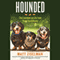 Hounded: The Lowdown on Life from Three Dachshunds