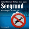 Seegrund (Kommissar Kluftinger 3)