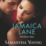 Jamaica Lane. Heimliche Liebe