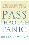 Pass Through Panic: Freeing Yourself From Anxiety and Fear