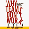 Why Teams Don't Work