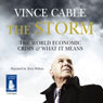 The Storm: The World Economic Crisis and What It Means