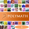 Polymath, Volume 1