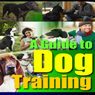 A Guide to Dog Training