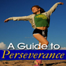 A Guide to Perseverance