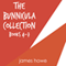 The Bunnicula Collection: Books 4-7: Nighty-Nightmare; Return to the Howliday Inn; Bunnicula Strikes Again!; Bunnicula Meets Edgar Allan Crow