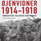 jenvidner 1914-1918 - snderjyske soldaters beretninger: [Eyewitnesses 1914-1918 - South Jutland Soldiers' Stories]