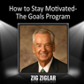 How to Stay Motivated: The Goals Program