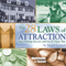 The 28 Laws of Attraction: Stop Chasing Success and Let It Chase You