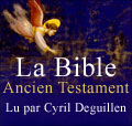 La Bible - Ancien Testament - Volume IV, Ecrits, Psaumes et Livres deutrocanoniques