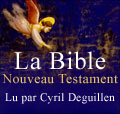 La Bible - Nouveau Testament - Volume V
