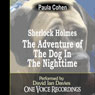 Sherlock Holmes and the Dog in the Nighttime