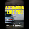 A Stranger Like You